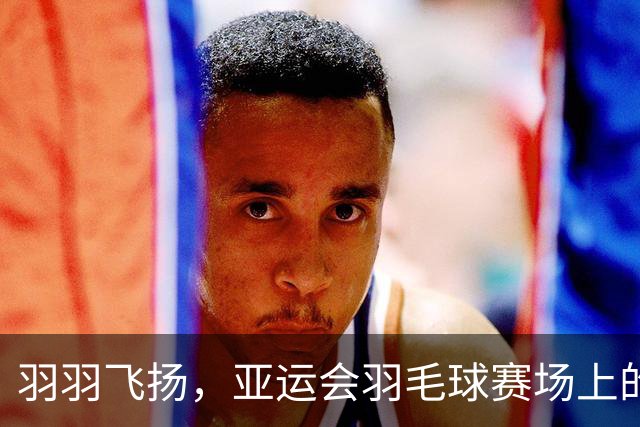 羽羽飞扬，亚运会羽毛球赛场上的中国队大丰收！